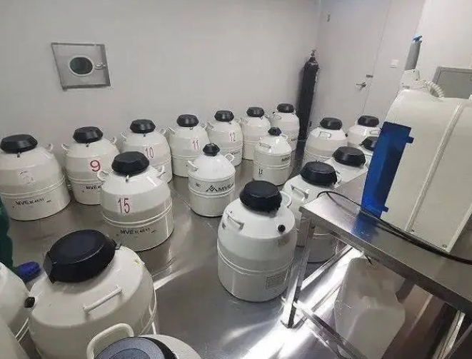 mve液氮罐 mve液氮罐