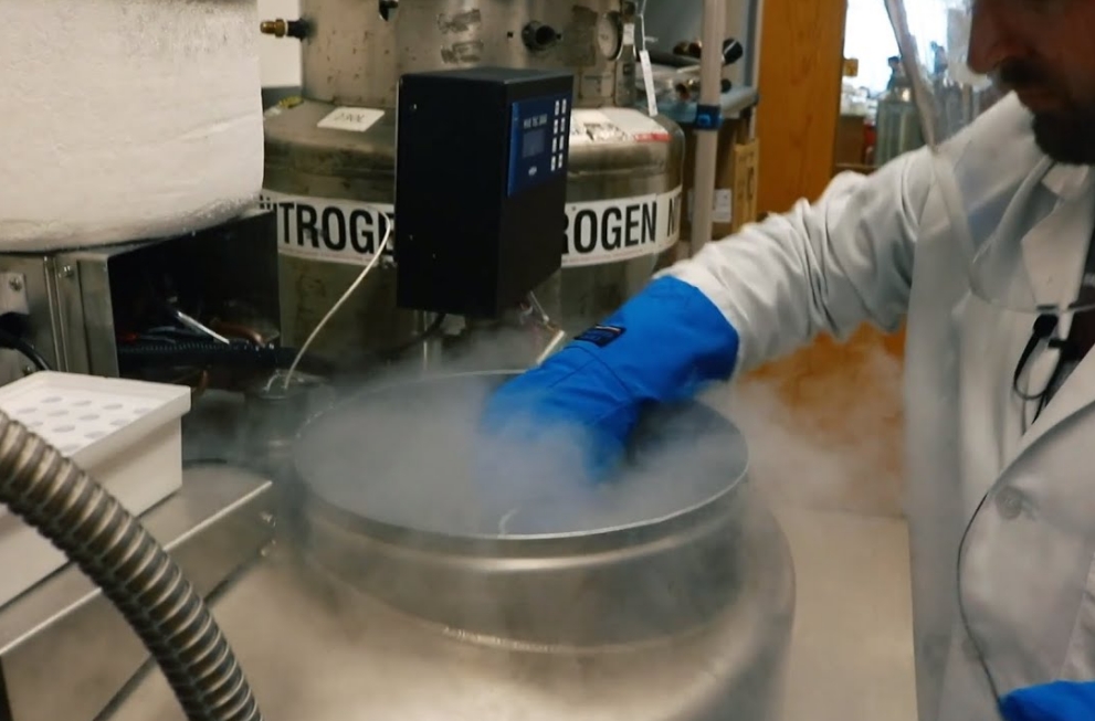 自動氣相液氮罐 自動氣相液氮罐